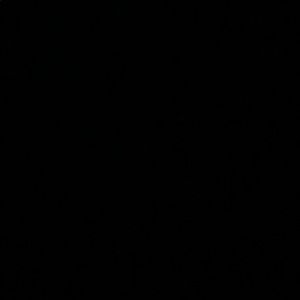 Meet your Posher, Charlene